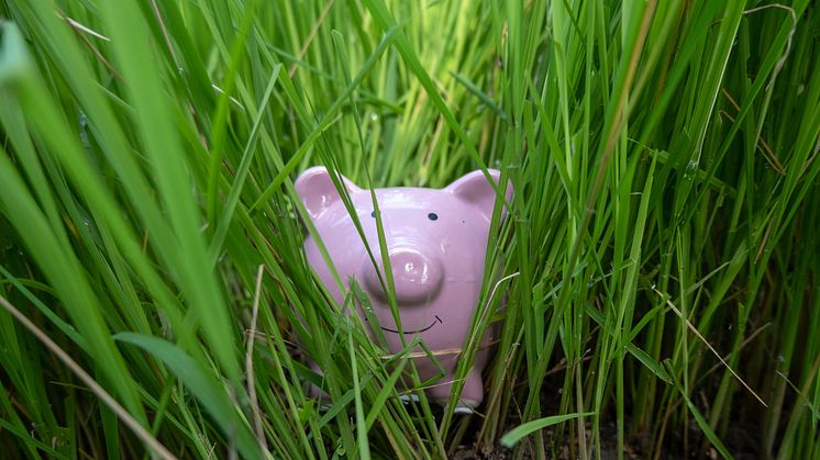"Bankrupt" timeshare resorts.  Do they have enough money left to meet their obligations?