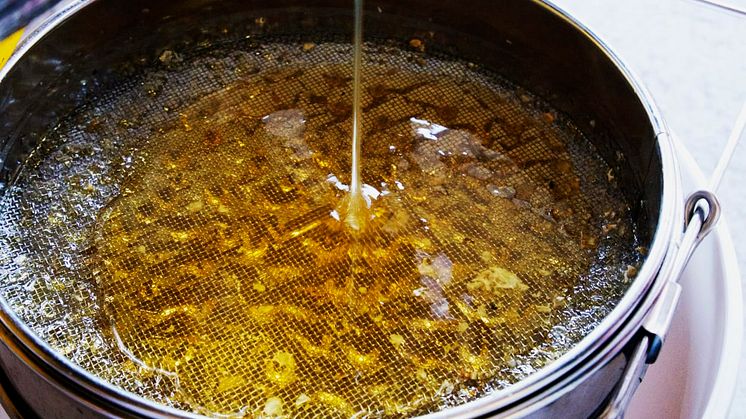 nyslungad primörhonung