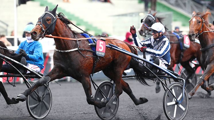 HORSY DREAM PRIX TENOR DE BAUNE