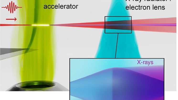 I den första heliumgasstrålen (grön) accelererade en intensiv laserpuls (röd) en elektronpuls (blå) till relativistisk hastighet. Därefter fokuserar en elektronlins i en andra kvävgasstråle (ljusblå) elektronerna som effektivt avger parallell och ult