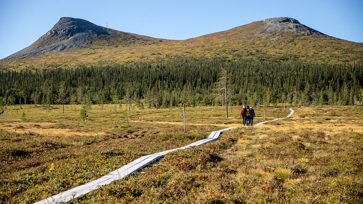 Vandring Glötdalsvallen Lofsdalen