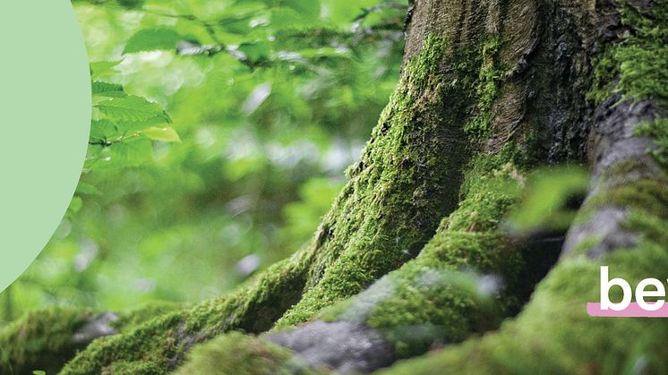 Umwelt- und Klimaschutz: Zurich sucht die Planet Heroes 2023