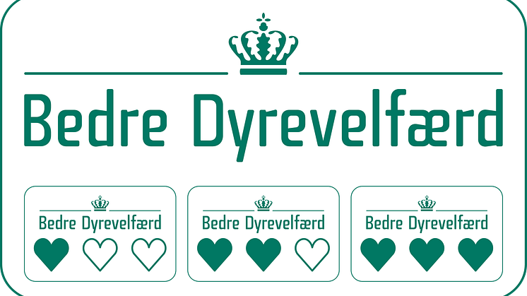 DVF_moderlogo_afrundet_grøn.png