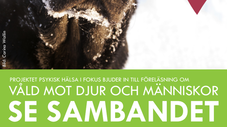 Forskare: Våga se sambandet i våldsamma relationer
