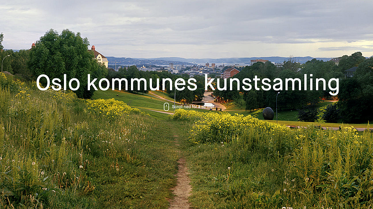 Faksimile fra nettstedet.