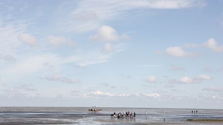 Vintervandring ved Vadehavet