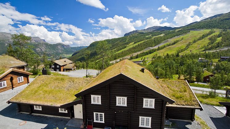Sommer på storhytte i Hemsedal