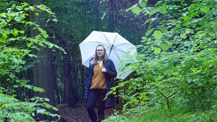 Nina i bokskogen