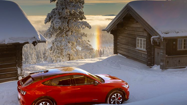 Ford Mustang Mach-E Vinter 2022