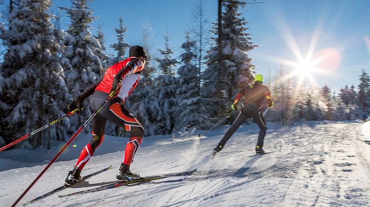 Langlauf im Erzgebirge 
