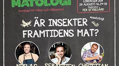 Kockar möter forskare på matfestival i Stockholms city