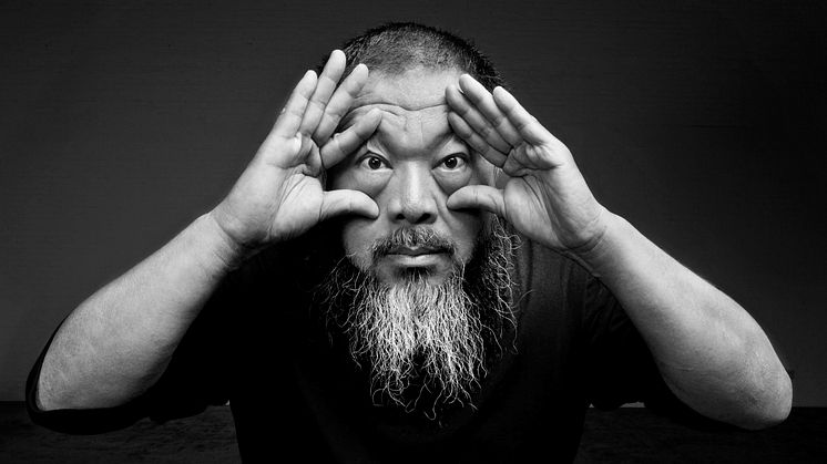 Ai Weiwei ROOTS Ai Weiwei Courtesy the artist and Lisson Gallery Photographer Gao Yuan jpg