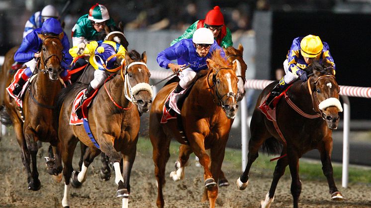 Mångmiljonloppet Dubai World Cup direkt i ATG Live
