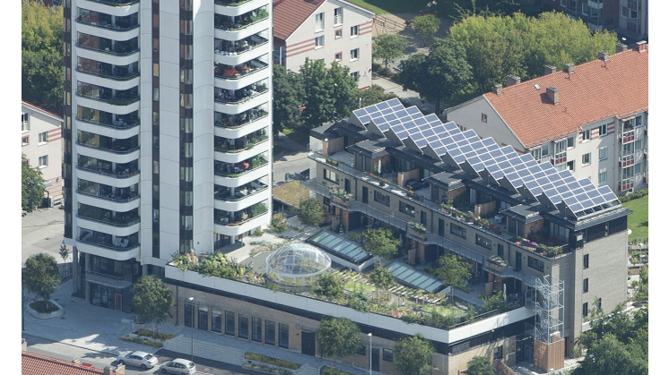 Allt du behöver veta om Greenhouse hållbara miljökoncept
