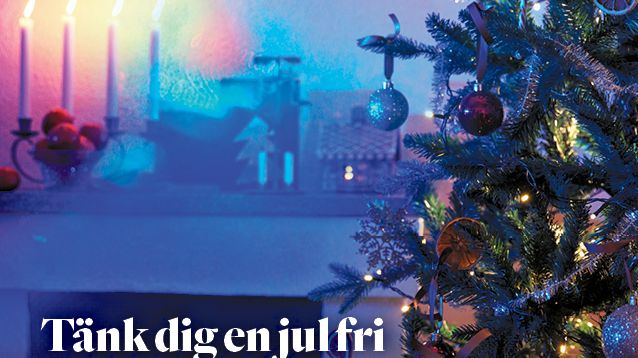 Annons_JulkampanjStorasyster01_225x297.jpg
