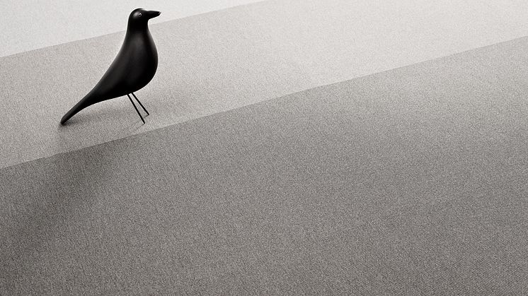 Peace Grey