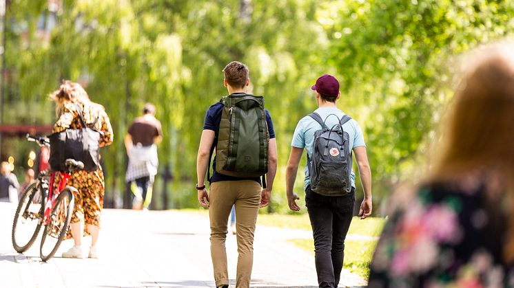 SIO 2019-WEB- Foto Svein Finneide-129