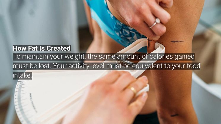 Fat Facts: The Big Fat Misunderstanding 