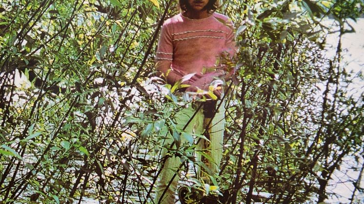 Pugh Rogefeldt