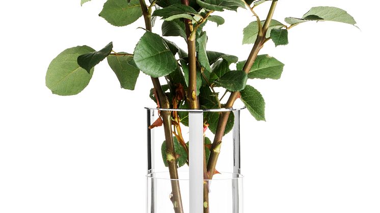 Hold vase & candleholder