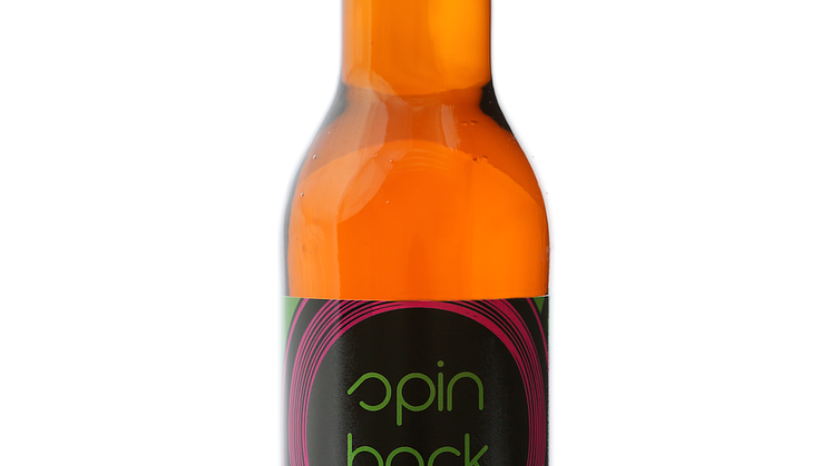 Beer Studio Spin Back IPA