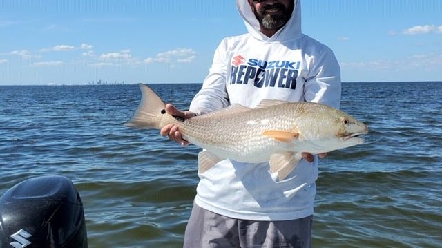 Image - Mastry Engine Center - Captain Travis Yaeckel, of the Ruskin-based Instinct Fishing Company, during the full day of inshore fishing on Tampa Bay with prize winner Mathew Cobb