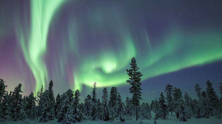 Utställningen Aurora – Nordisk Arkitektur och Design lyfter fram det unika i nordisk design och svensk arkitektur