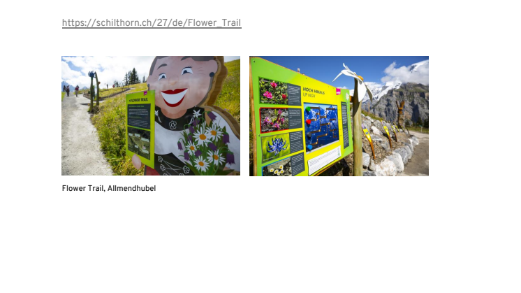 Allmendhubel - Flower Trail