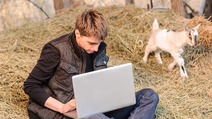 Rural connectivity