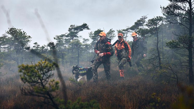 Jaktia is Scandinavia's largest hunting/sport fishing franchise chain with around 60 stores in Sweden, Norway & Denmark with a chain turnover of approx. SEK 1 billion. Read more at www.jaktia.se.