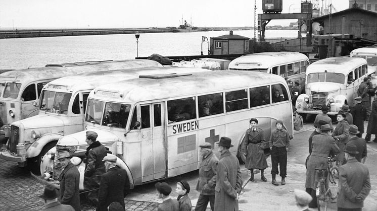 Vita bussarna tryck
