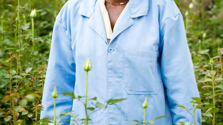 Fairtrade-rapporten 2010
