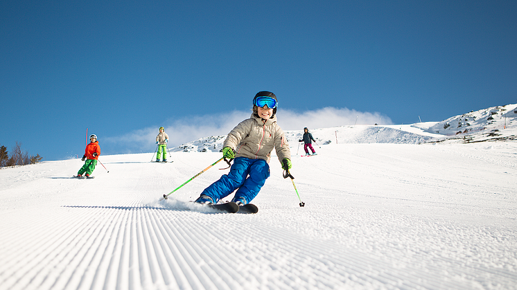 SkiStar AB: Ökat tryck på skistar.com inför påsken
