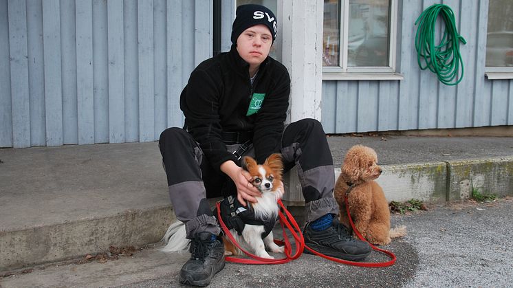 Hundskötare