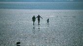 Världsnaturarvet "Wattenmeer"