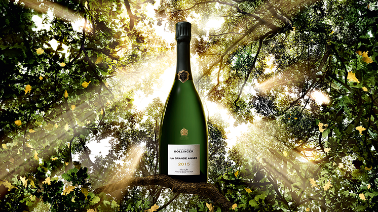 Fruktkoncentration och generositet sammanfattar den nya årgången av Bollinger La Grande Année & Bollinger La Grande Année Rosé 