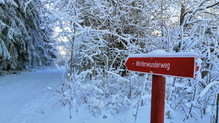 Winterwanderweg Schellerhau_Foto Touristinformation Altenberg.jpg