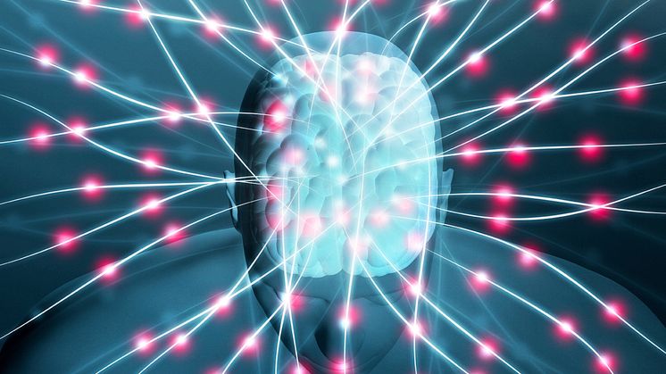 Neuromarketing: Willkommen im Gehirn des Konsumenten  