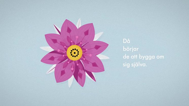 Graviditet: Bröstmjölkens början 