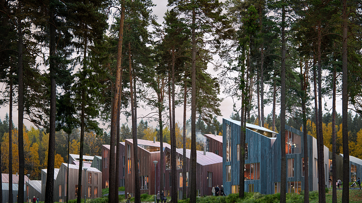 Ellingrudgrenda_Skogen