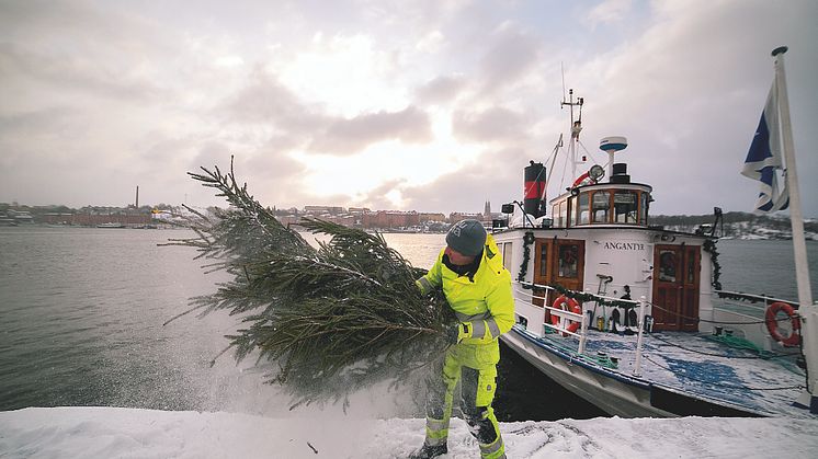 Hjälp till att göra Mälaren risigare!