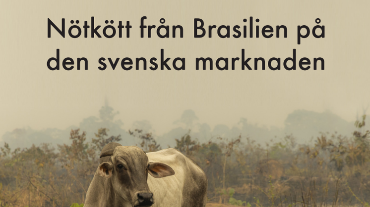 Rapport: Nötkött från Brasilien i Sverige