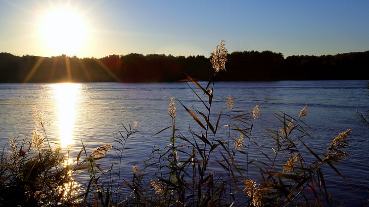 Samlade råd och rekommendationer om mätning och riskbedömning av nya kemikalier i vattenmiljö 