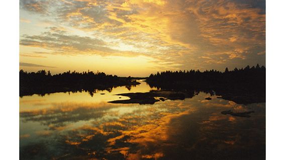Vår nya bok Speglingar/Reflections ger ett konstnärligt perspektiv på miljöfrågan 