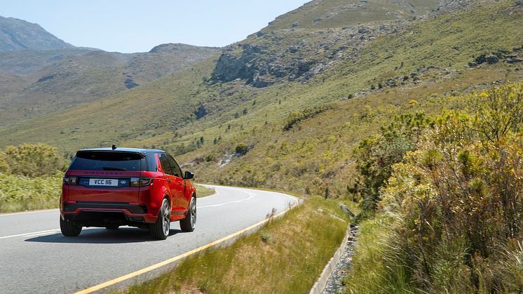 Discovery Sport Dynamics rear view