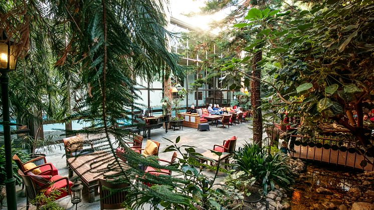 Vinterträdgården på Storhogna Högfjällshotell & Spa i Vemdalen