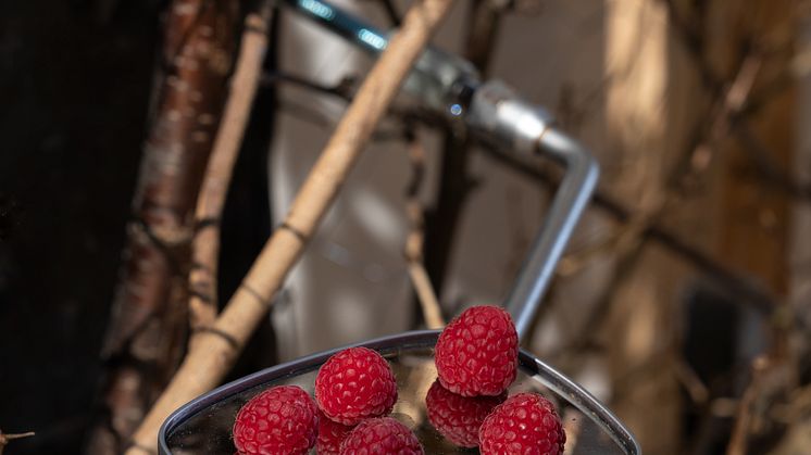 Laure Prouvost, Cat Mirror Eat Rasberries, 2013