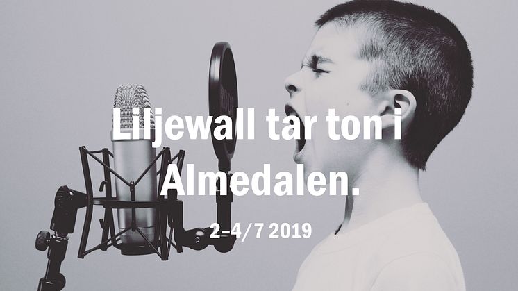Liljewall tar ton i Almedalen 