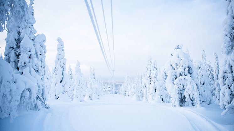 Justering av elnätsavgiften i Luleå 2024