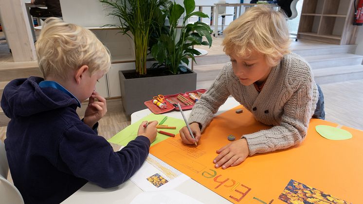 Louisenlund Forschercamp MINT Akademie Grundschule
